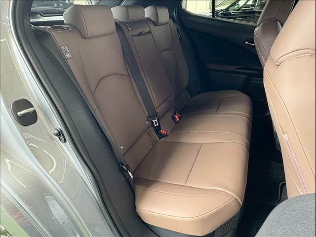 TOYOTA LEXUS UX250h 2022