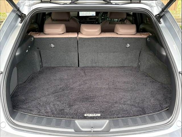 TOYOTA LEXUS UX250h 2022