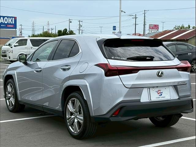 TOYOTA LEXUS UX250h 2022