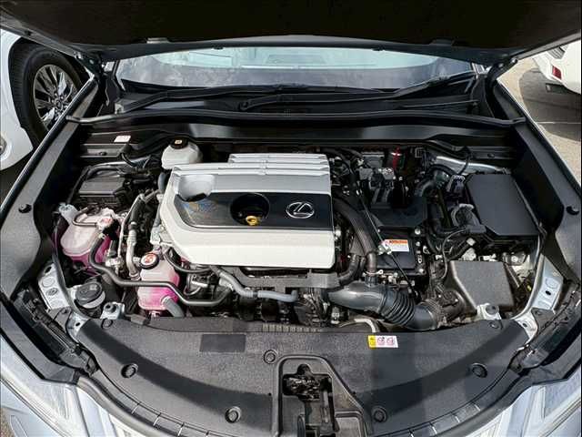 TOYOTA LEXUS UX250h 2022