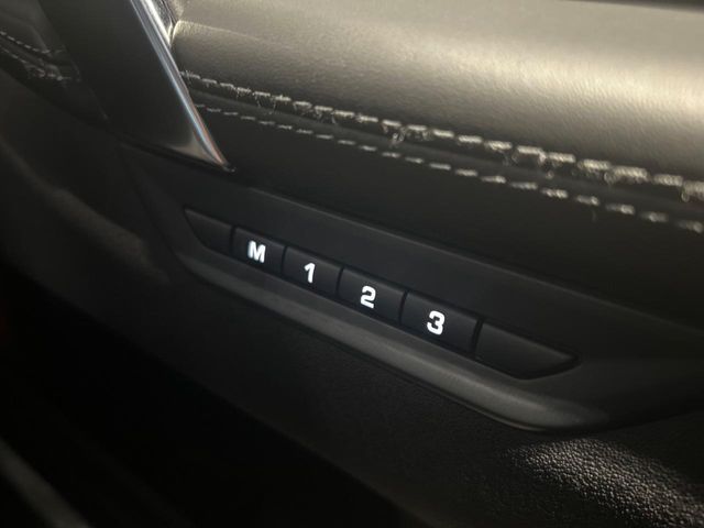 ROVER ROVER DISCOVERY SPORTS 2024