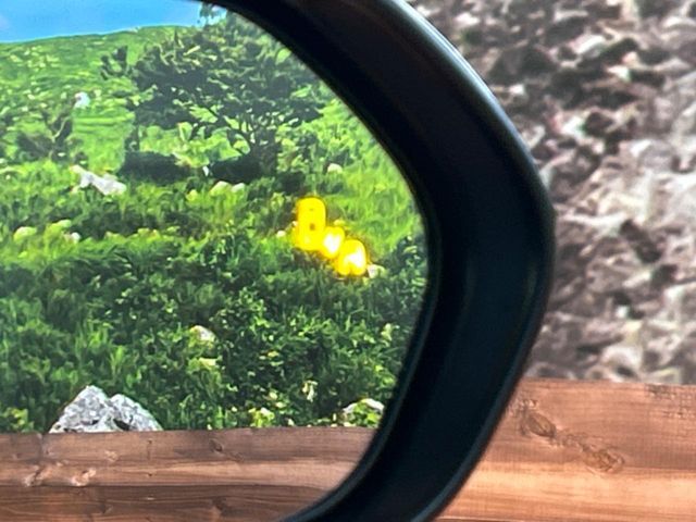 TOYOTA SIENTA HYBRID 2025