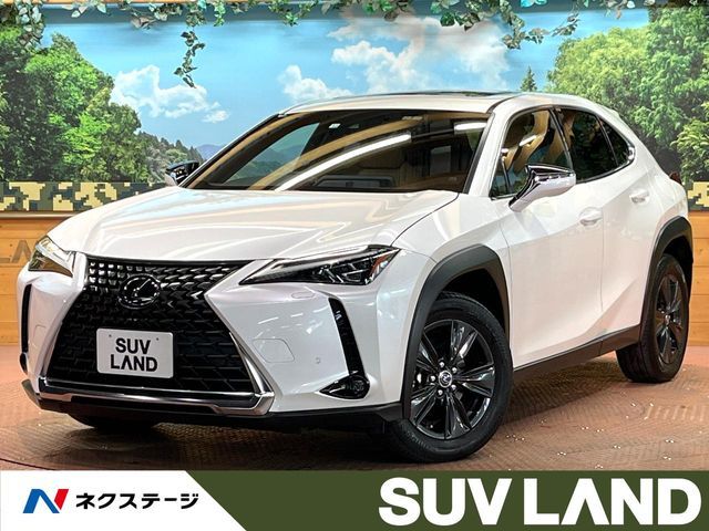 TOYOTA LEXUS UX250h 2022