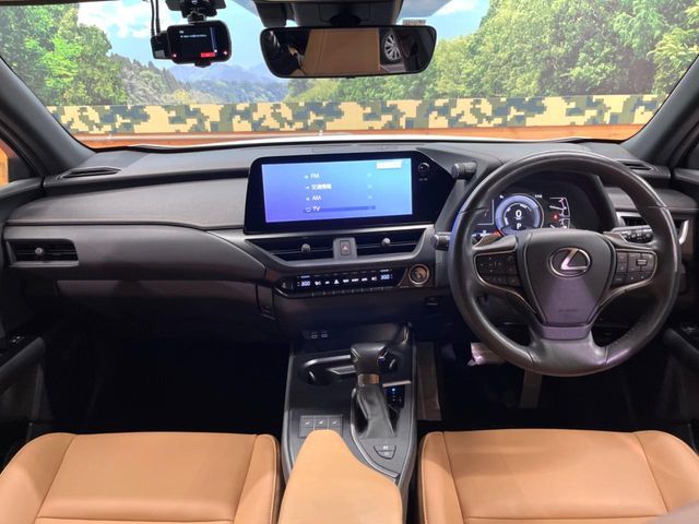 TOYOTA LEXUS UX250h 2022