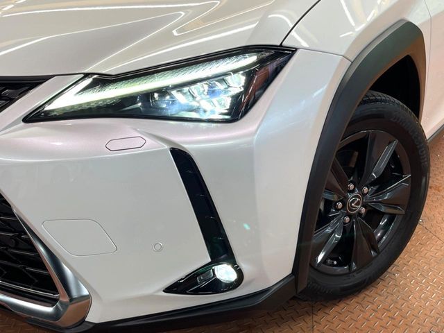 TOYOTA LEXUS UX250h 2022