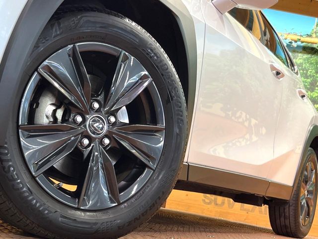 TOYOTA LEXUS UX250h 2022