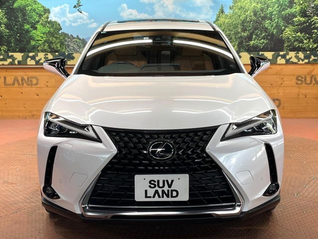 TOYOTA LEXUS UX250h 2022