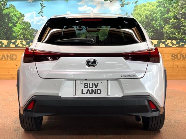 TOYOTA LEXUS UX250h 2022