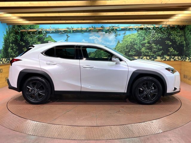 TOYOTA LEXUS UX250h 2022