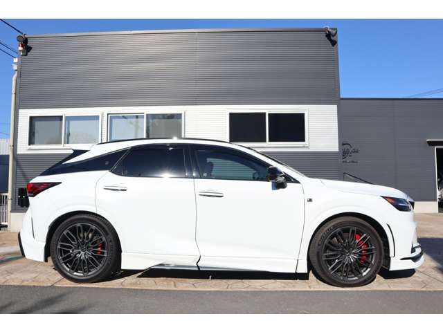 TOYOTA LEXUS RX500h 2023