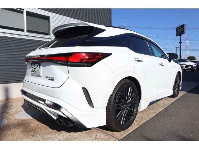 TOYOTA LEXUS RX500h 2023