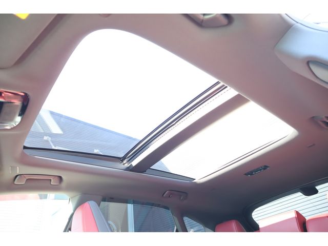 TOYOTA LEXUS RX500h 2023