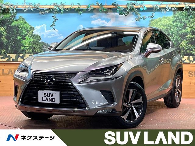 TOYOTA LEXUS NX300h 2019 