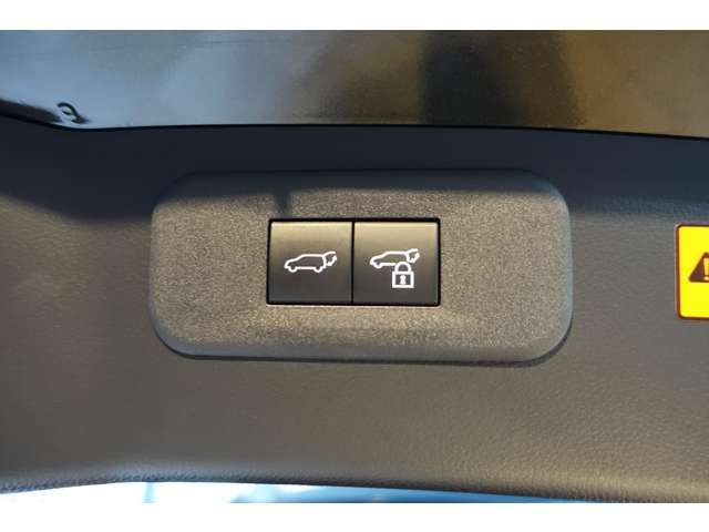 TOYOTA LEXUS NX350h AWD 2024