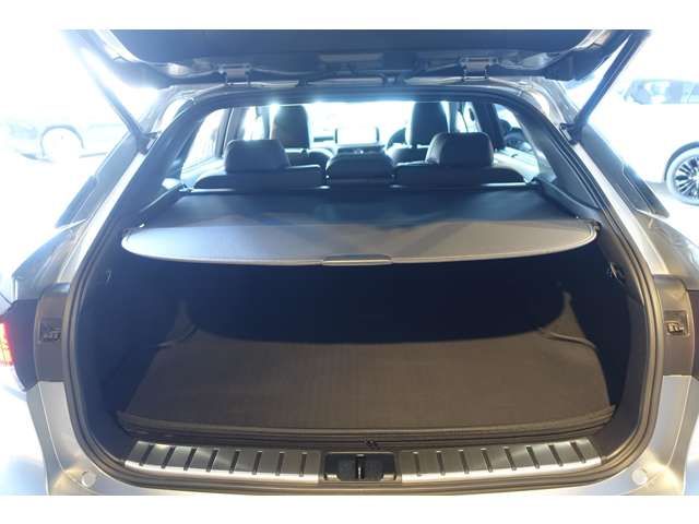 TOYOTA LEXUS RX450h AWD 2022