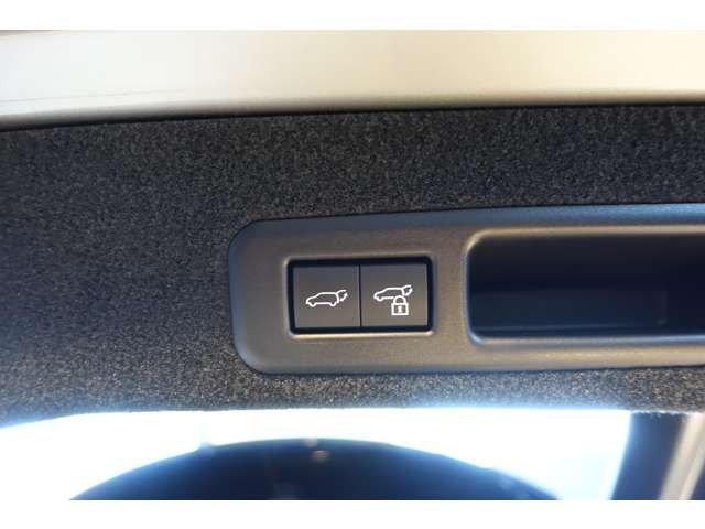 TOYOTA LEXUS RX450h AWD 2022