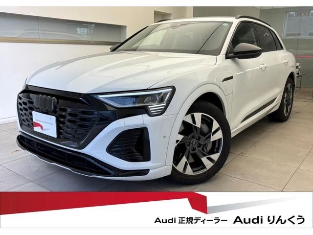 AUDI AUDI Q8 e-tron 2024