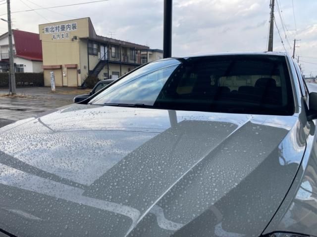 VOLKSWAGEN VOLKSWAGEN POLO GTI 2019