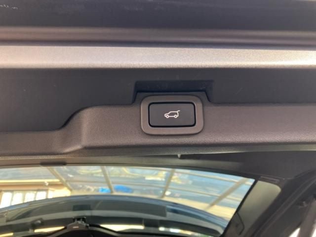 ROVER ROVER DISCOVERY 2019