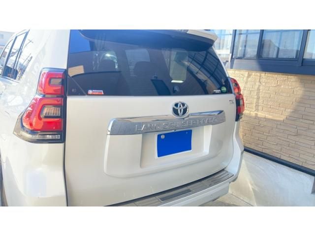 TOYOTA LANDCRUISER PRADO 2019