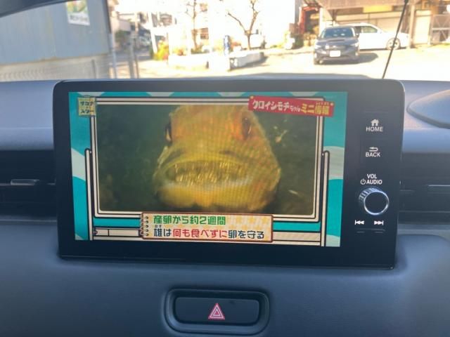 HONDA VEZEL e:HEV 2023