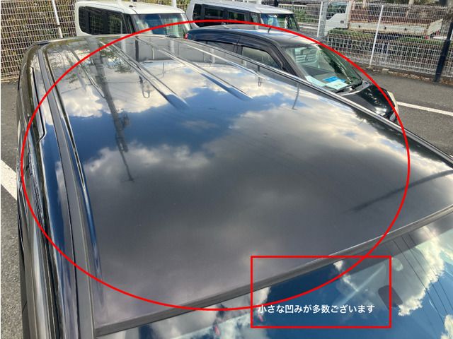 HONDA STEPWAGON SPADA 2009