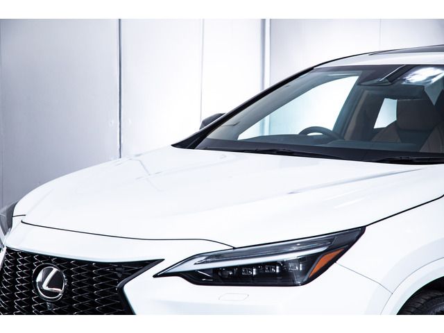 TOYOTA LEXUS NX350h 2024