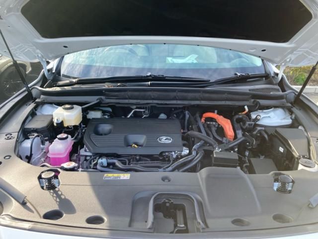 TOYOTA LEXUS RX350h 2025