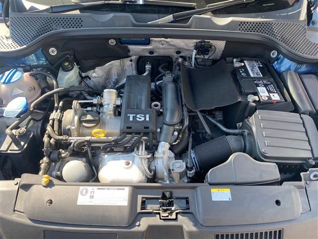 VOLKSWAGEN VOLKSWAGEN The BEETLE 2017