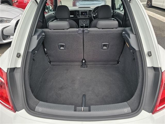 VOLKSWAGEN VOLKSWAGEN The BEETLE 2015