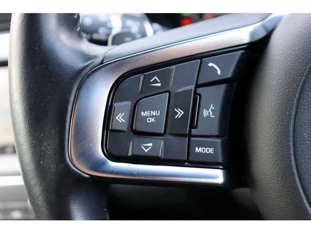 JAGUAR JAGUAR E-PACE 2019