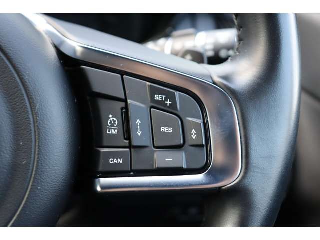 JAGUAR JAGUAR E-PACE 2019