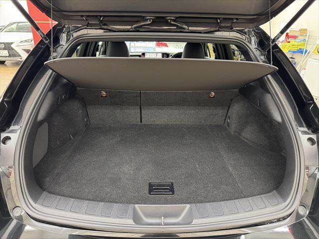 TOYOTA LEXUS UX250h 2019