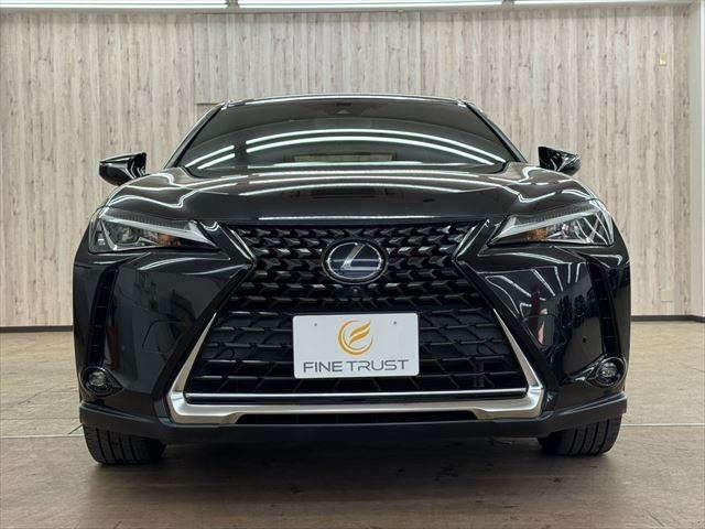 TOYOTA LEXUS UX250h 2019