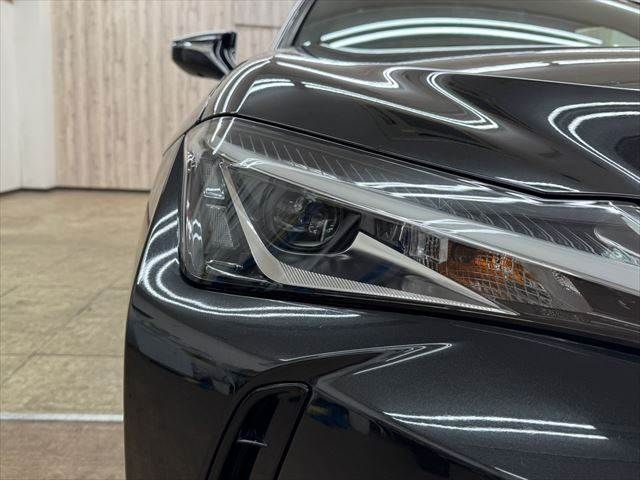 TOYOTA LEXUS UX250h 2019