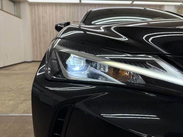 TOYOTA LEXUS UX250h 2019