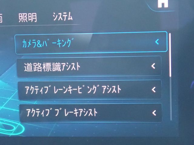 MERCEDES BENZ MERCEDES BENZ E class stationwagon 2021