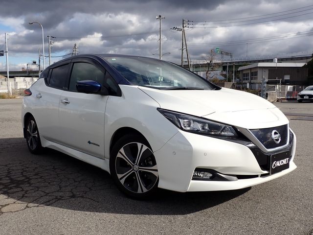 NISSAN LEAF 2018