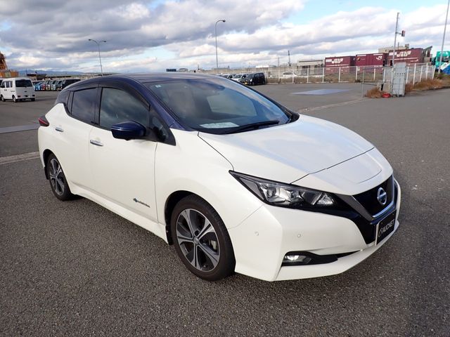 NISSAN LEAF 2018