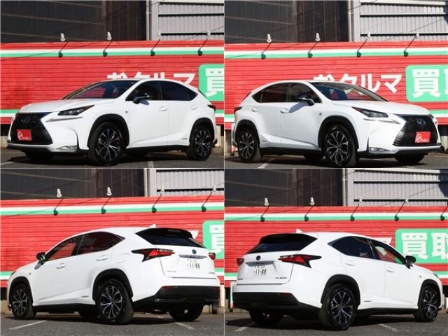 TOYOTA LEXUS NX300h 2016