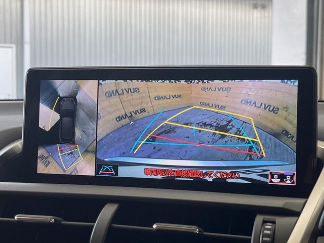 TOYOTA LEXUS NX300 2018