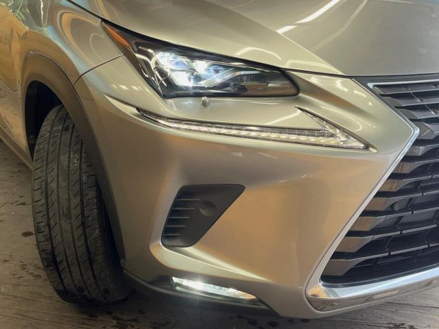 TOYOTA LEXUS NX300 2018