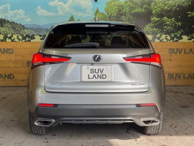 TOYOTA LEXUS NX300 2018