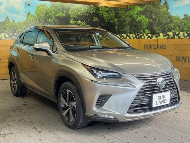 TOYOTA LEXUS NX300 2018