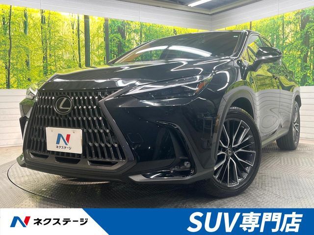 TOYOTA LEXUS NX250 2023