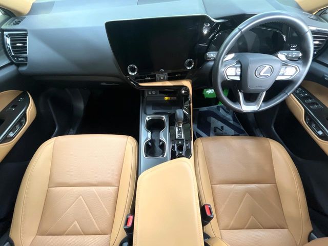 TOYOTA LEXUS NX250 2023