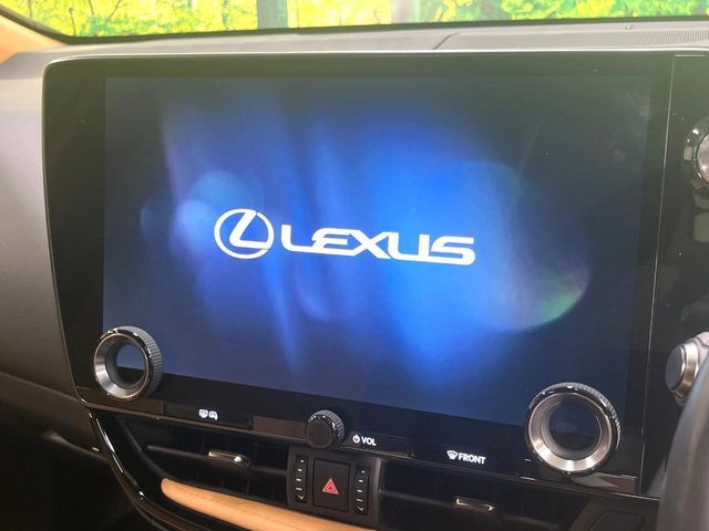 TOYOTA LEXUS NX250 2023