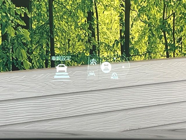 TOYOTA LEXUS NX250 2023