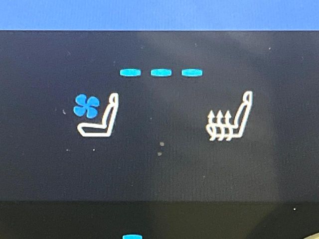 TOYOTA LEXUS NX250 2023