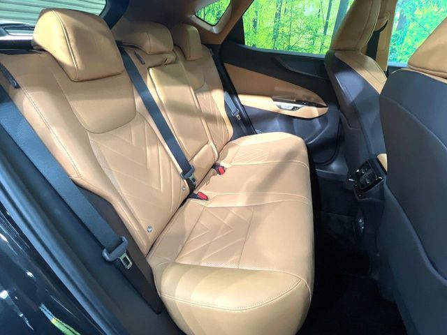 TOYOTA LEXUS NX250 2023